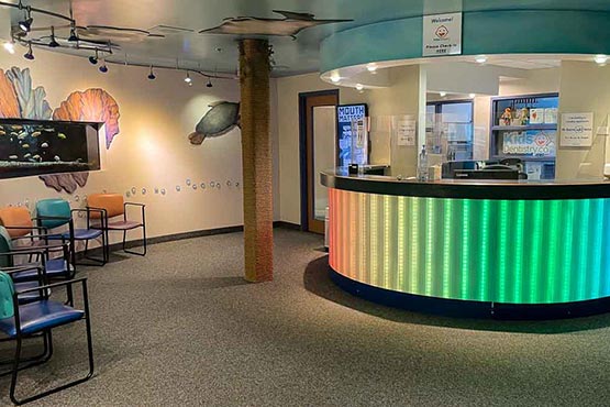 Friendly place to take your kids for dental care